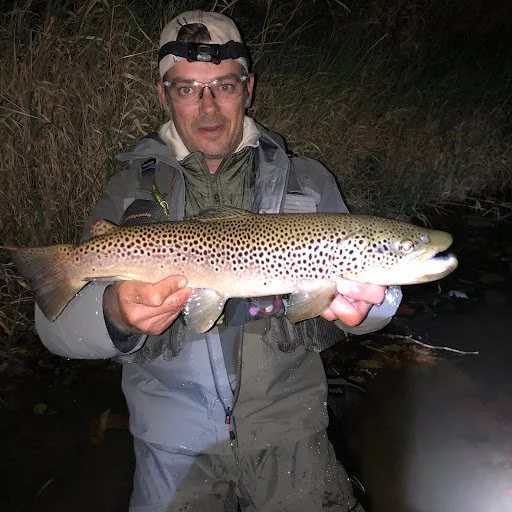Relentless Blog — Relentless Fly Fishing